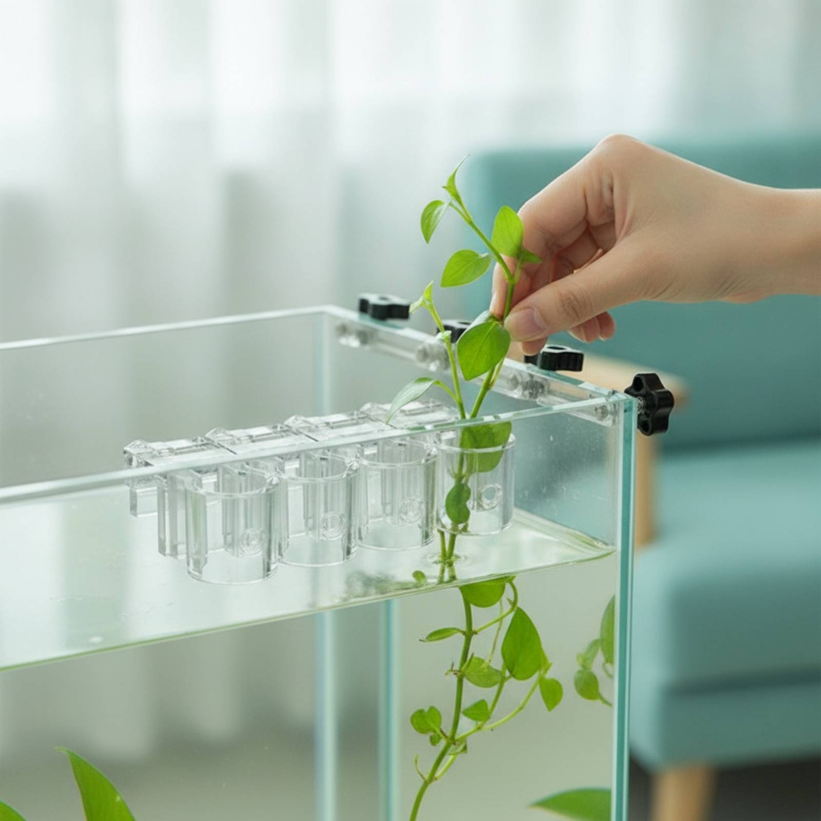 Aquarium Plant - 6 Pieces Aquarium Planter Clear Hydroponic