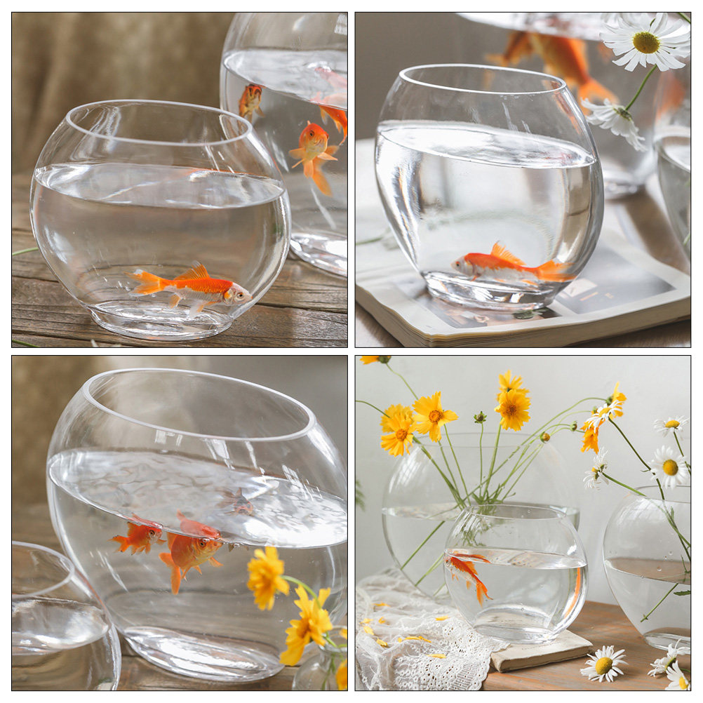 Planted Aquarium For Goldfish - Elegant Glass Aquarium Tank Crystal-Like Transparent
