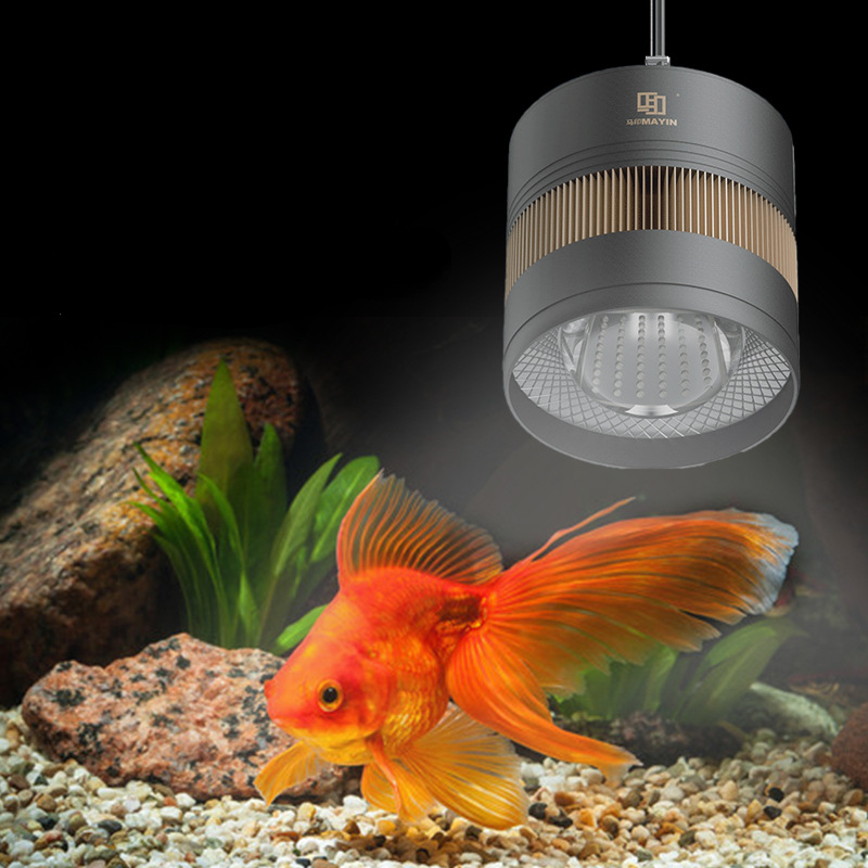 Planted Aquarium For Goldfish - MAYIN Aquarium Full Spectrum Led Downlight