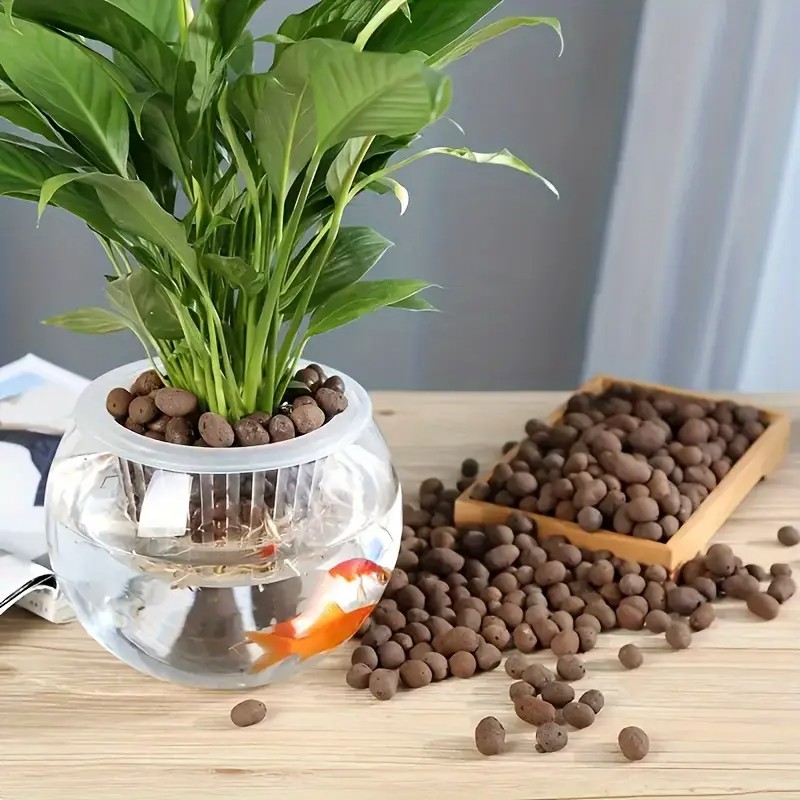 Lightweight & Breathable Terra - Aquarium Plant 评论和价格