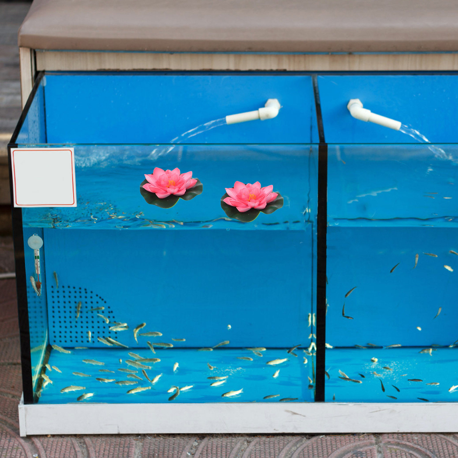 12Pcs Artificial Floating Wate - Aquarium Plant 评论和价格