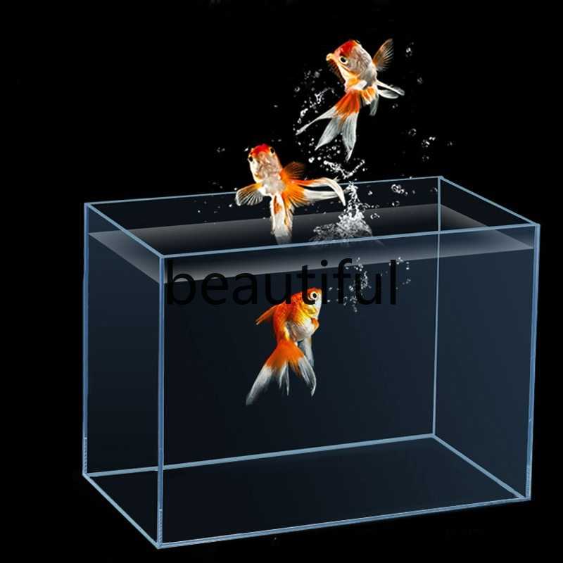 Jinjing ultra-white glass fish - Planted Aquarium For Goldfish 评论和价格