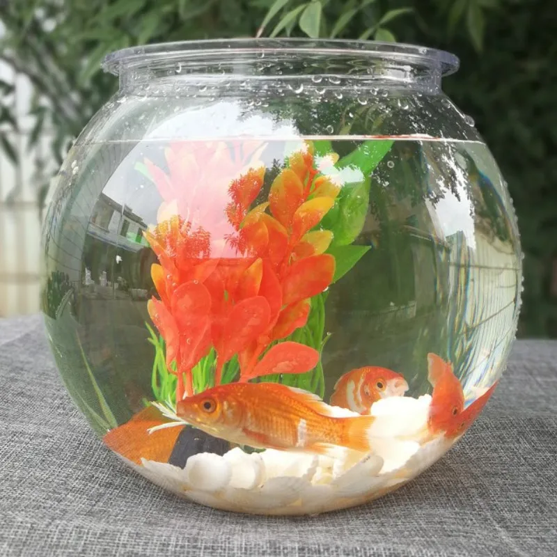 Goldfish bowl desktop transpar - Planted Aquarium For Goldfish 评论和价格