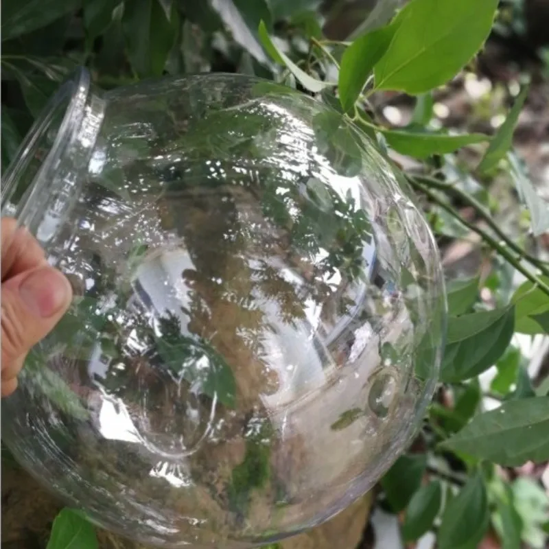 Goldfish bowl desktop transpar - Planted Aquarium For Goldfish 评论和价格