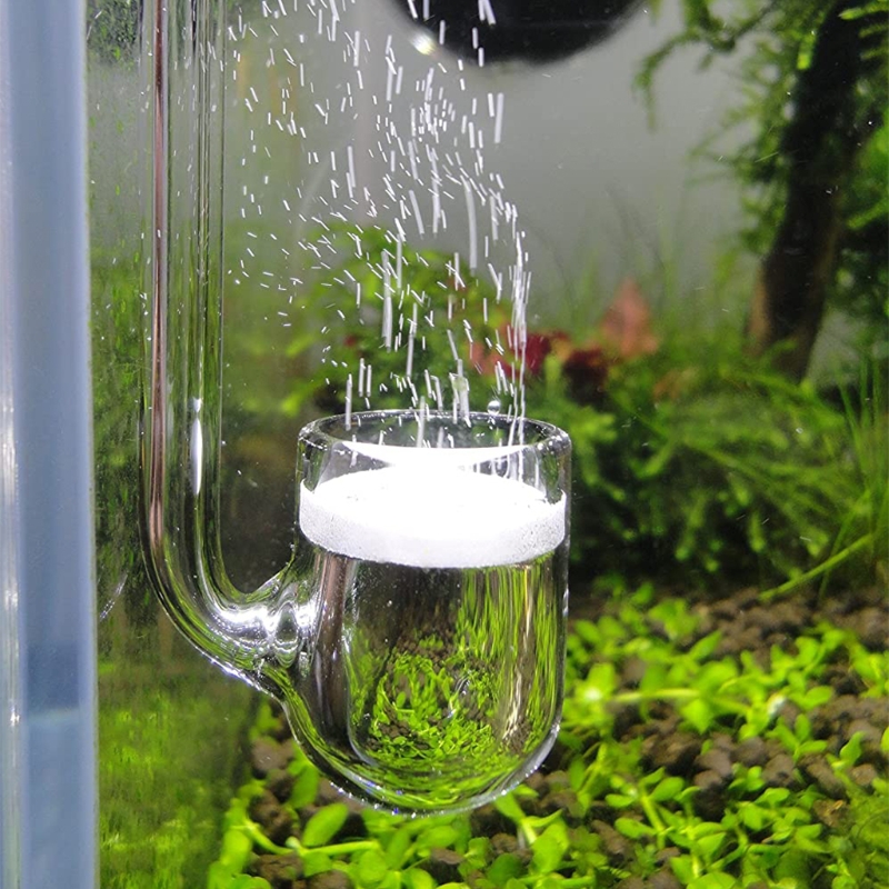D0AD Glass CO2 Diffuser for Aq - Planted Aquarium Supplies 评论和价格