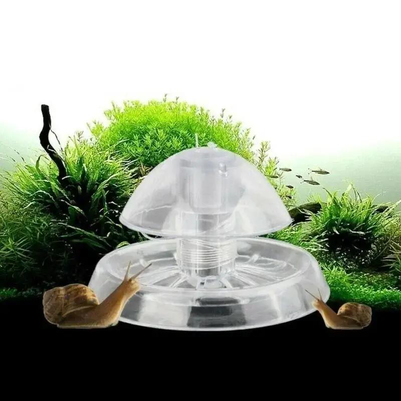 2026 New 6/8CM Clear Plastic S - Planted Aquarium Supplies 评论和价格