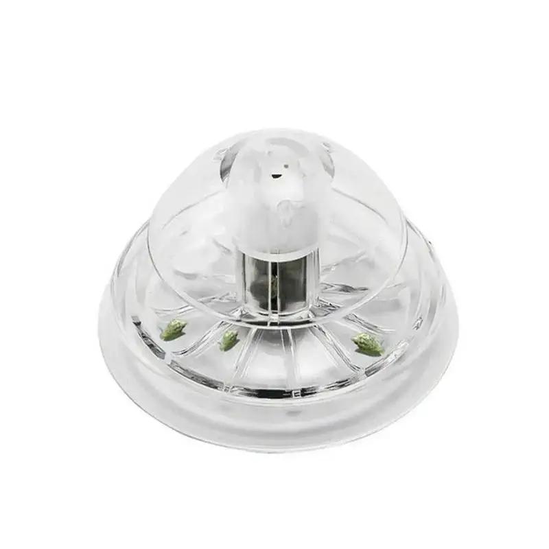 2026 New 6/8CM Clear Plastic S - Planted Aquarium Supplies 评论和价格