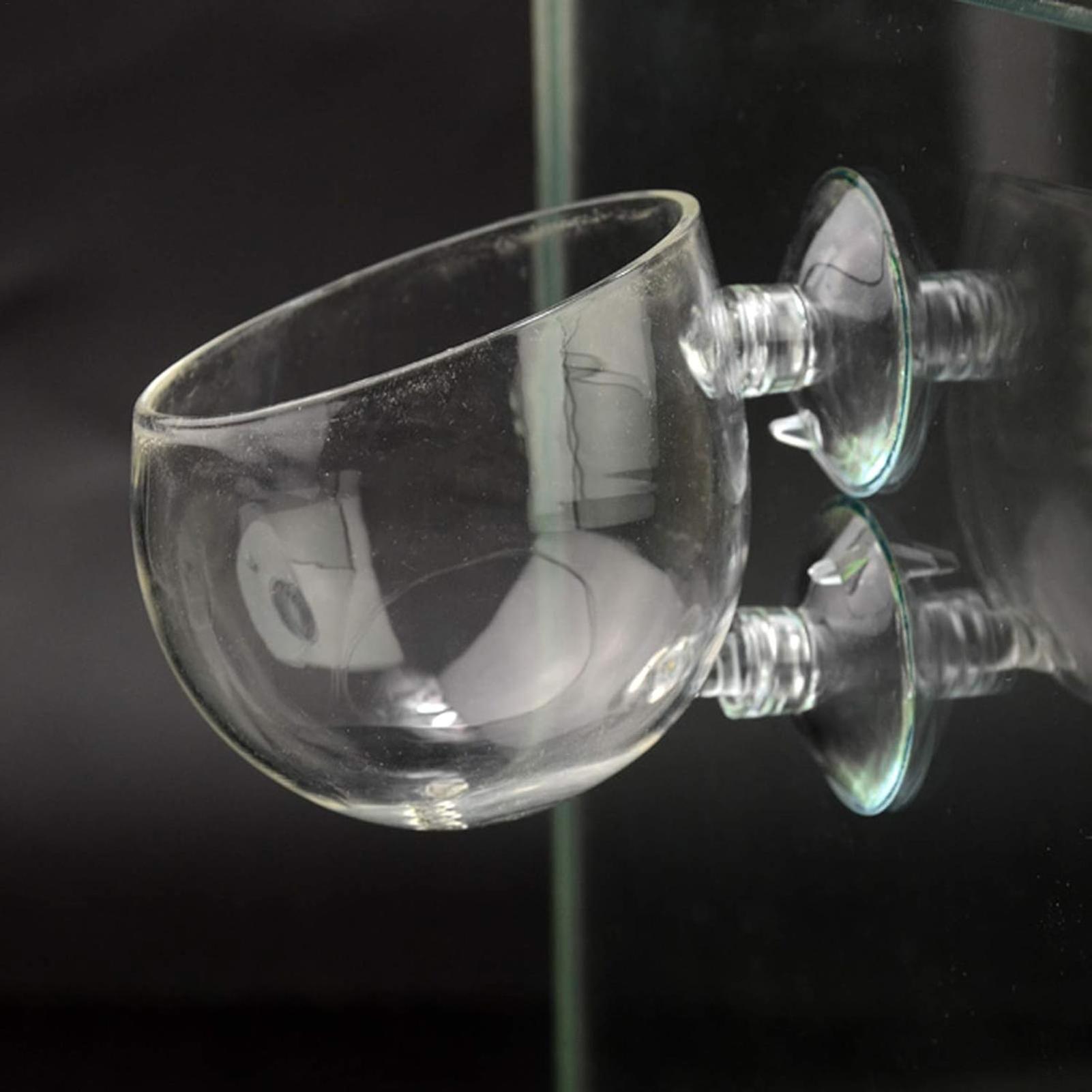 Aquarium Plant Holder Glass Aq - Planted Aquarium Maintenance 评论和价格