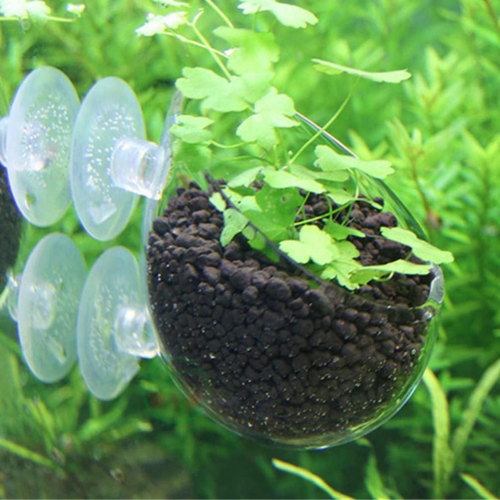 Aquarium Plant Holder Glass Aq - Planted Aquarium Maintenance 评论和价格