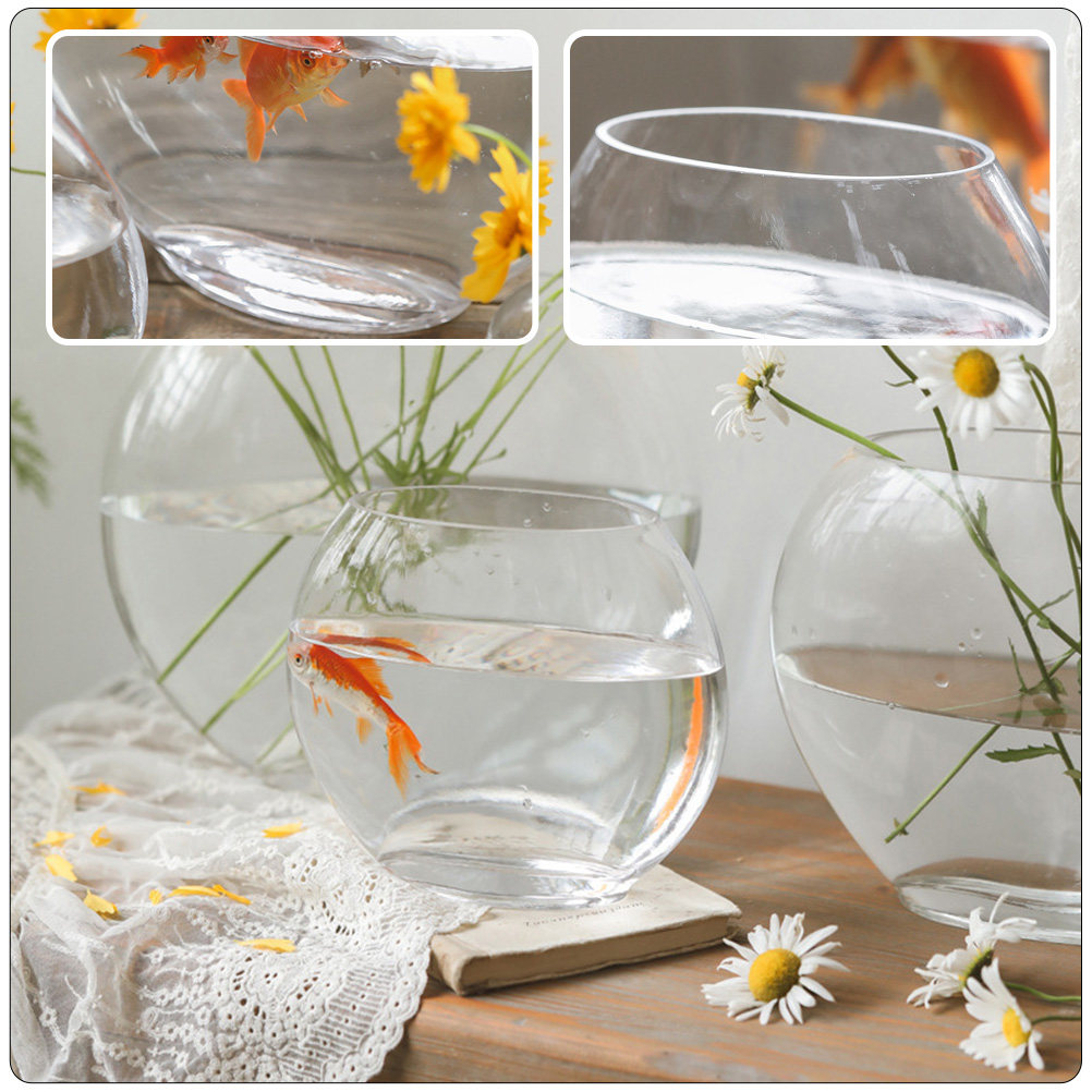 Elegant Glass Aquarium Tank Cr - Planted Aquarium For Goldfish 评论和价格