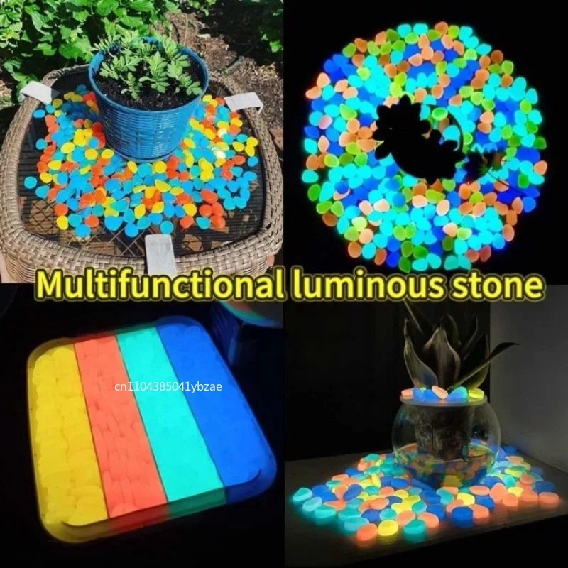 100-800pcs Glow in The Dark Pe - Aquarium Plant 评论和价格