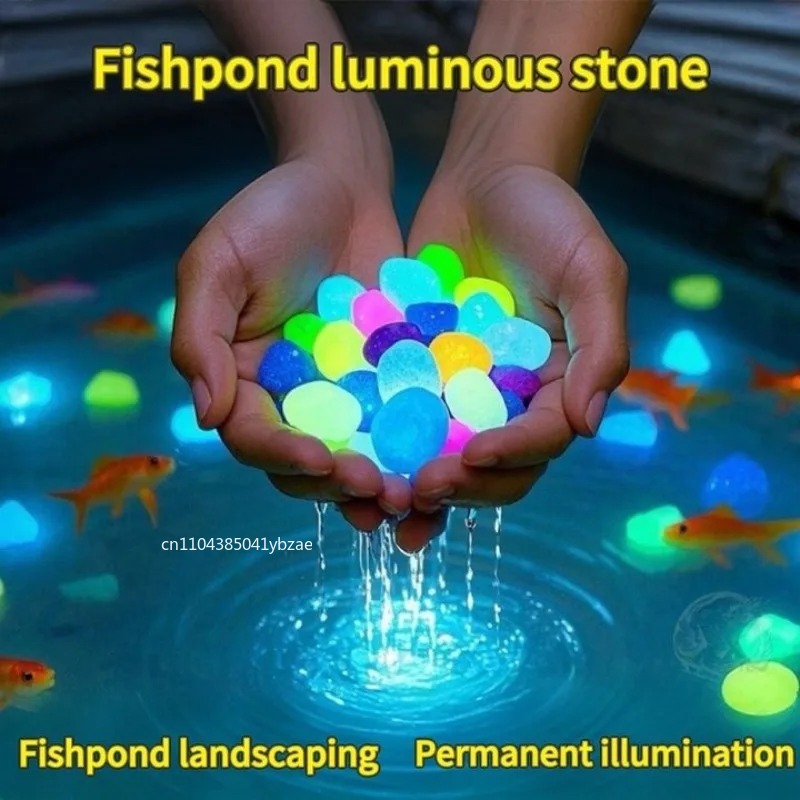 100-800pcs Glow in The Dark Pe - Aquarium Plant 评论和价格