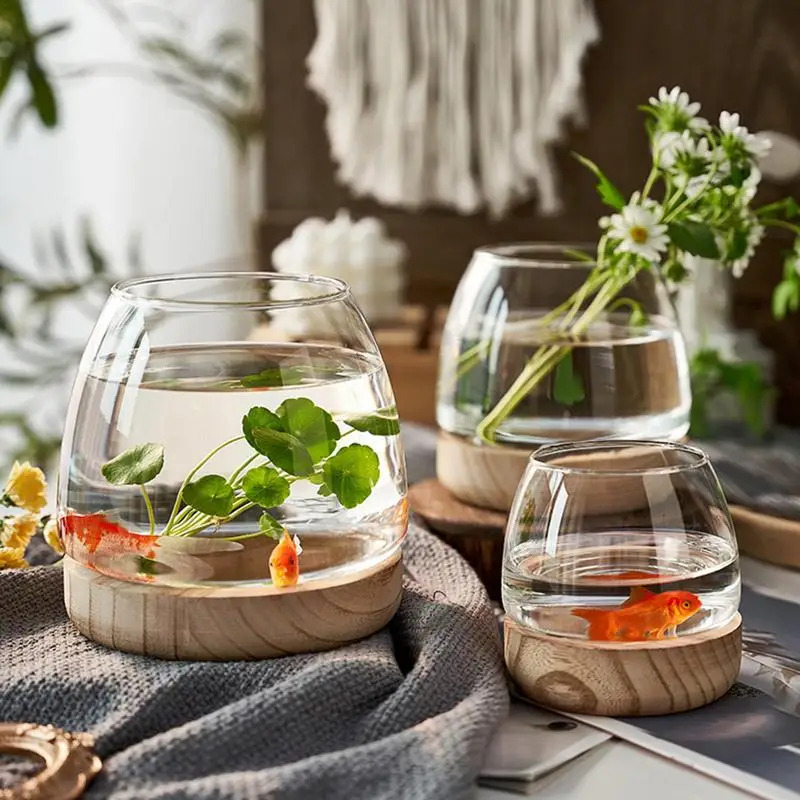 Decorative Round Glass Fish Ta - Planted Aquarium For Goldfish 评论和价格
