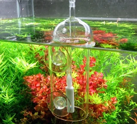 VIV Do Device Aquarium Cylinde - Planted Aquarium Supplies 评论和价格