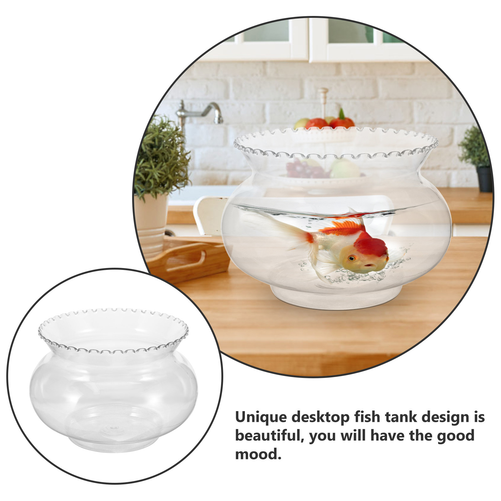 Plastic Desktop Aquarium Tank  - Planted Aquarium For Goldfish 评论和价格