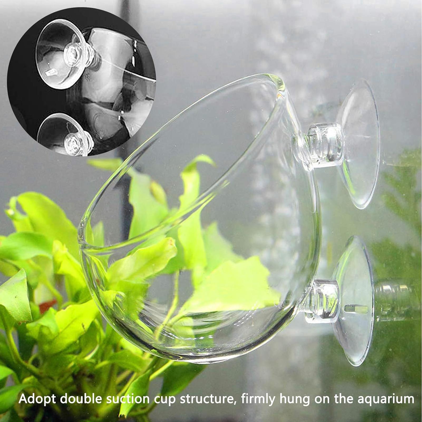 Aquarium Glass Plant Pot with  - Planted Aquarium Maintenance 评论和价格