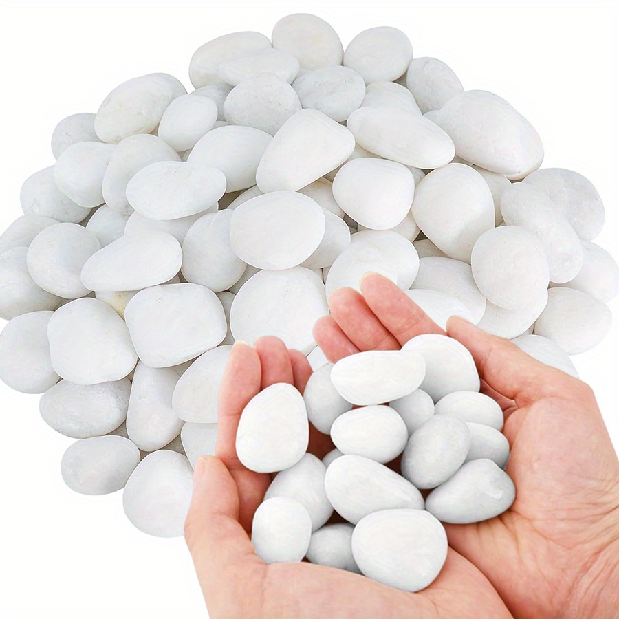 200/400g White High Polished N - Aquarium Plant 评论和价格