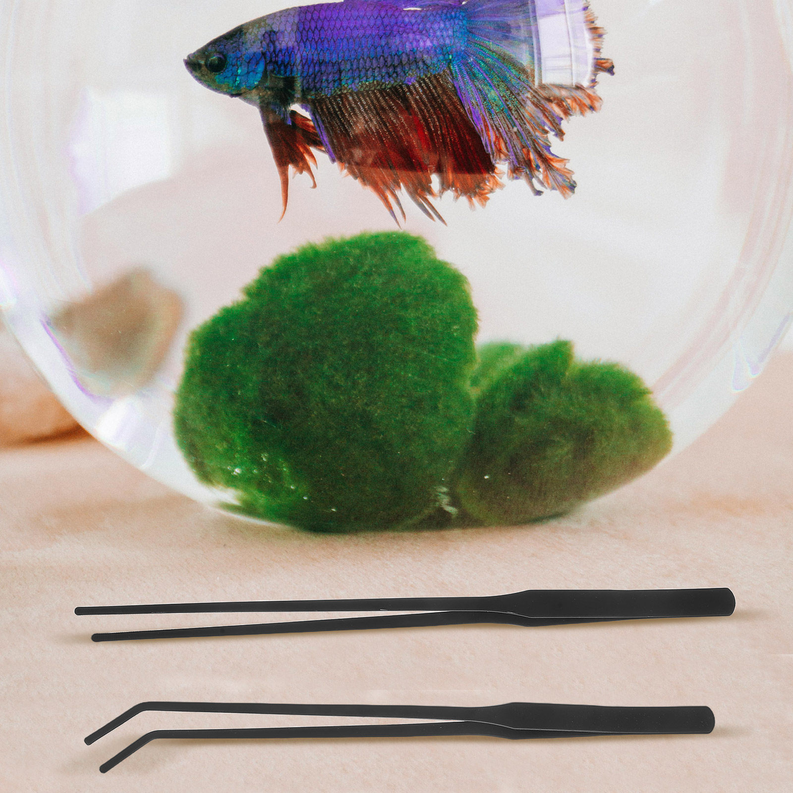 4pcs Aquarium Tweezers Stainle - Planted Aquarium Maintenance 评论和价格