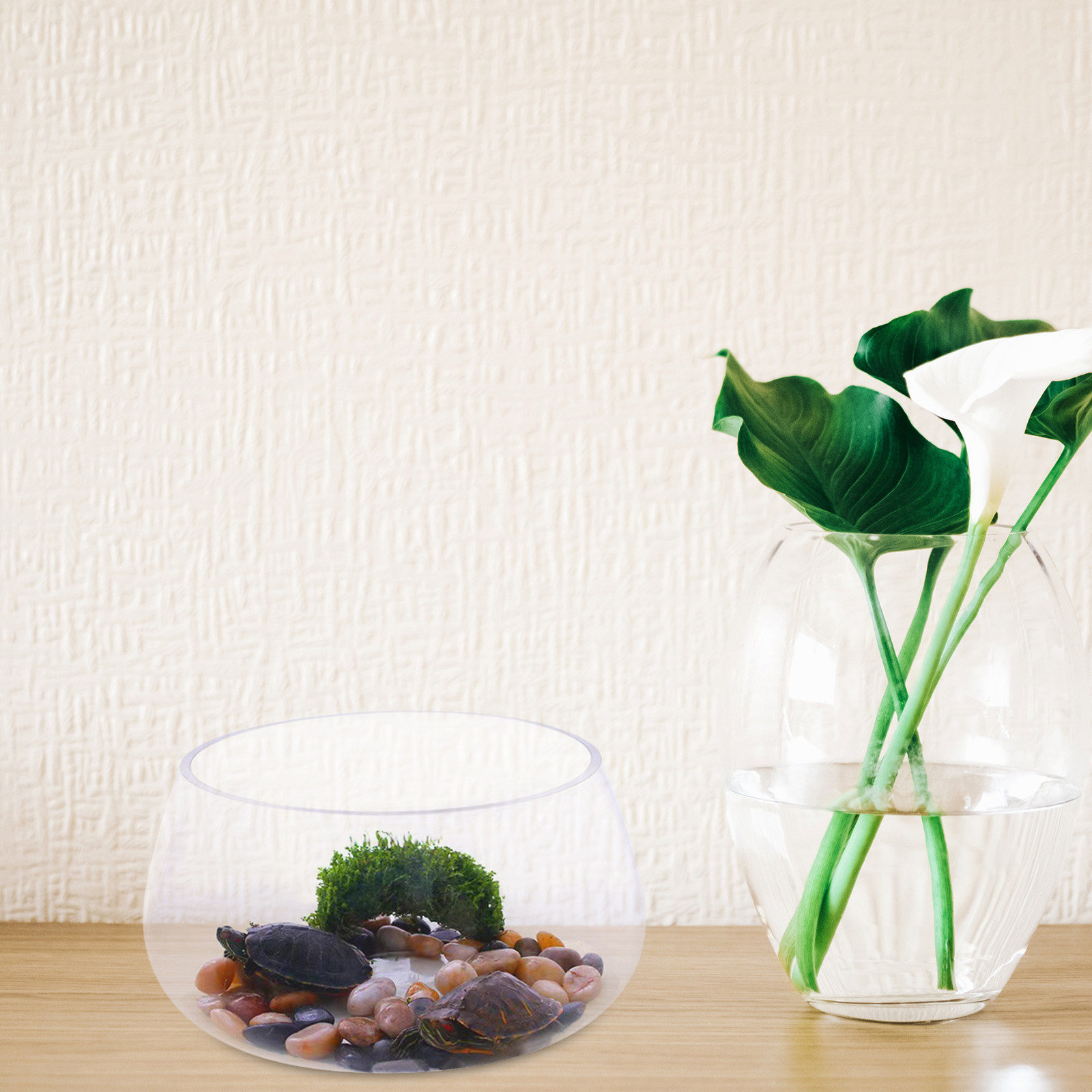 Round Clear Glass Mini Aquariu - Aquarium Planted Shop 评论和价格