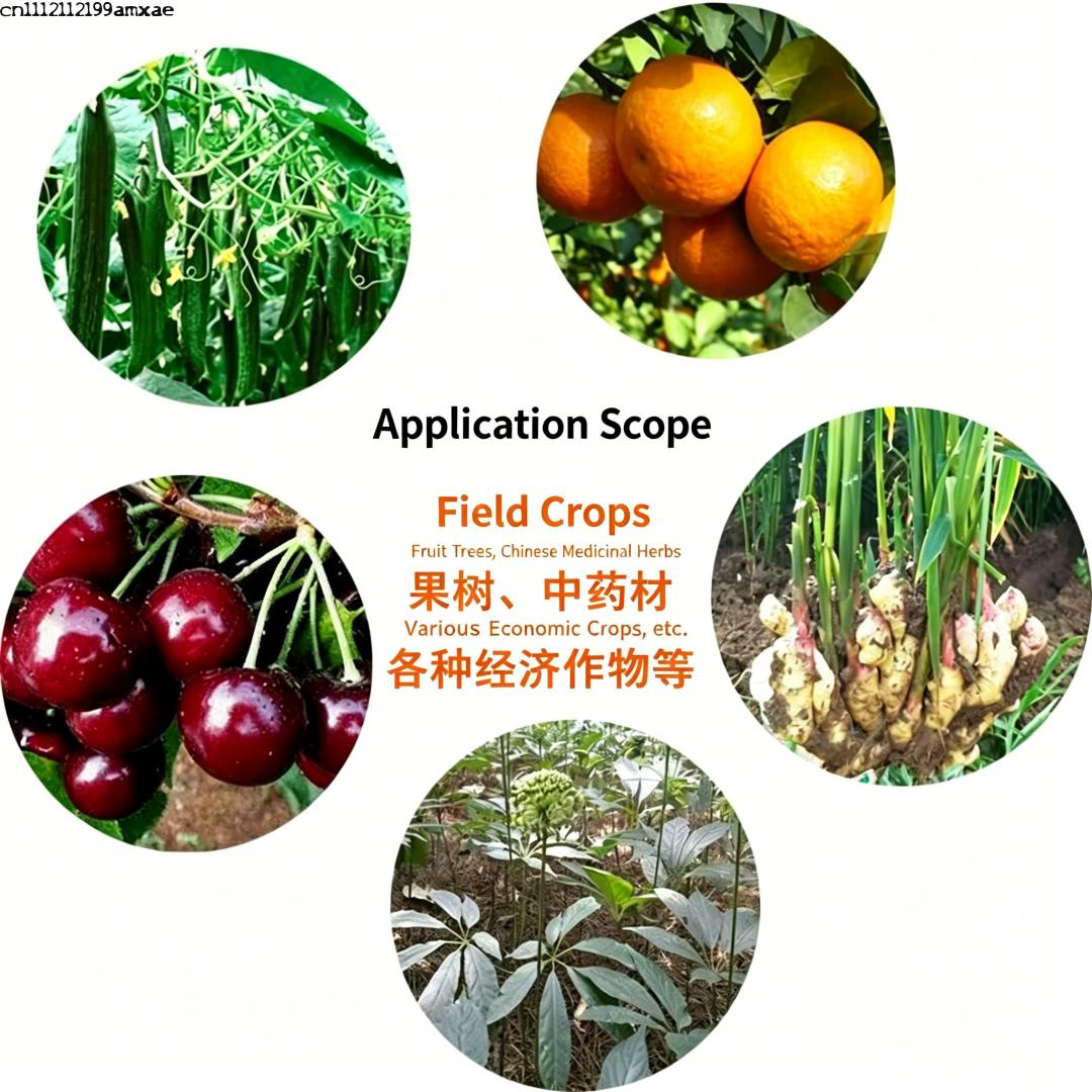 High Activity Bacillus Subtili - Planted Aquarium Fertilizer 评论和价格
