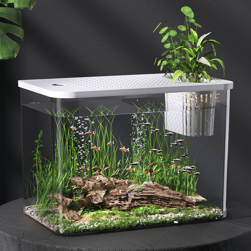 Plastic Aquarium With Lid Clea - Planted Aquarium For Goldfish 评论和价格