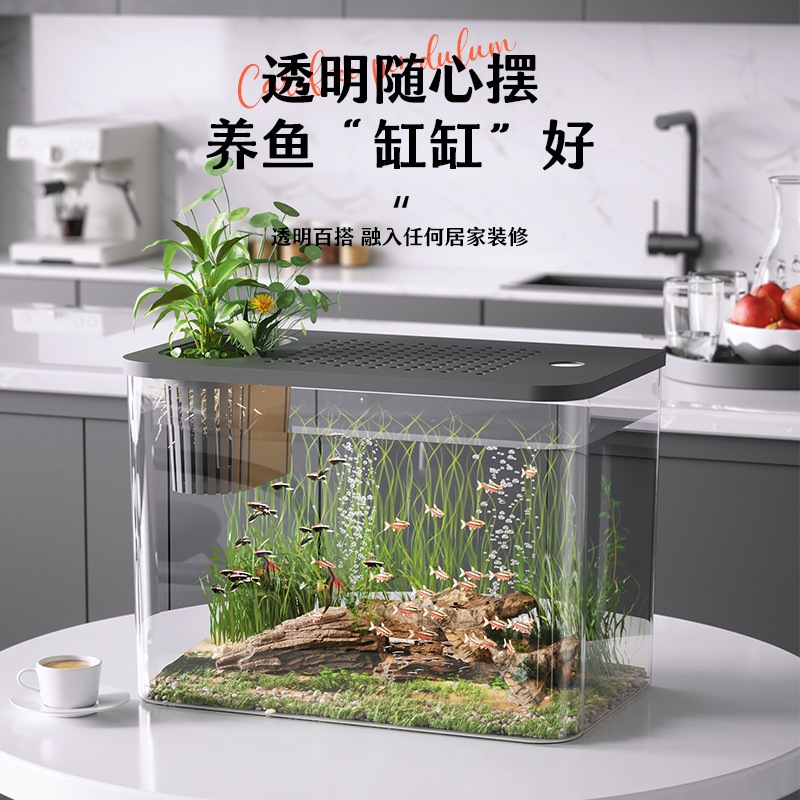 Plastic Aquarium With Lid Clea - Planted Aquarium For Goldfish 评论和价格