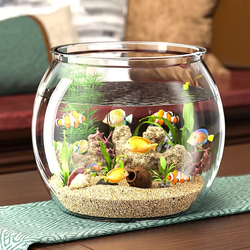 High Quality Compact Clear Pla - Planted Aquarium For Goldfish 评论和价格