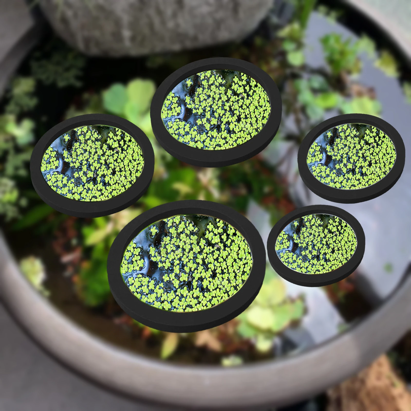5Pcs EVA Fish Feeding Ring Aqu - Planted Aquarium Supplies 评论和价格