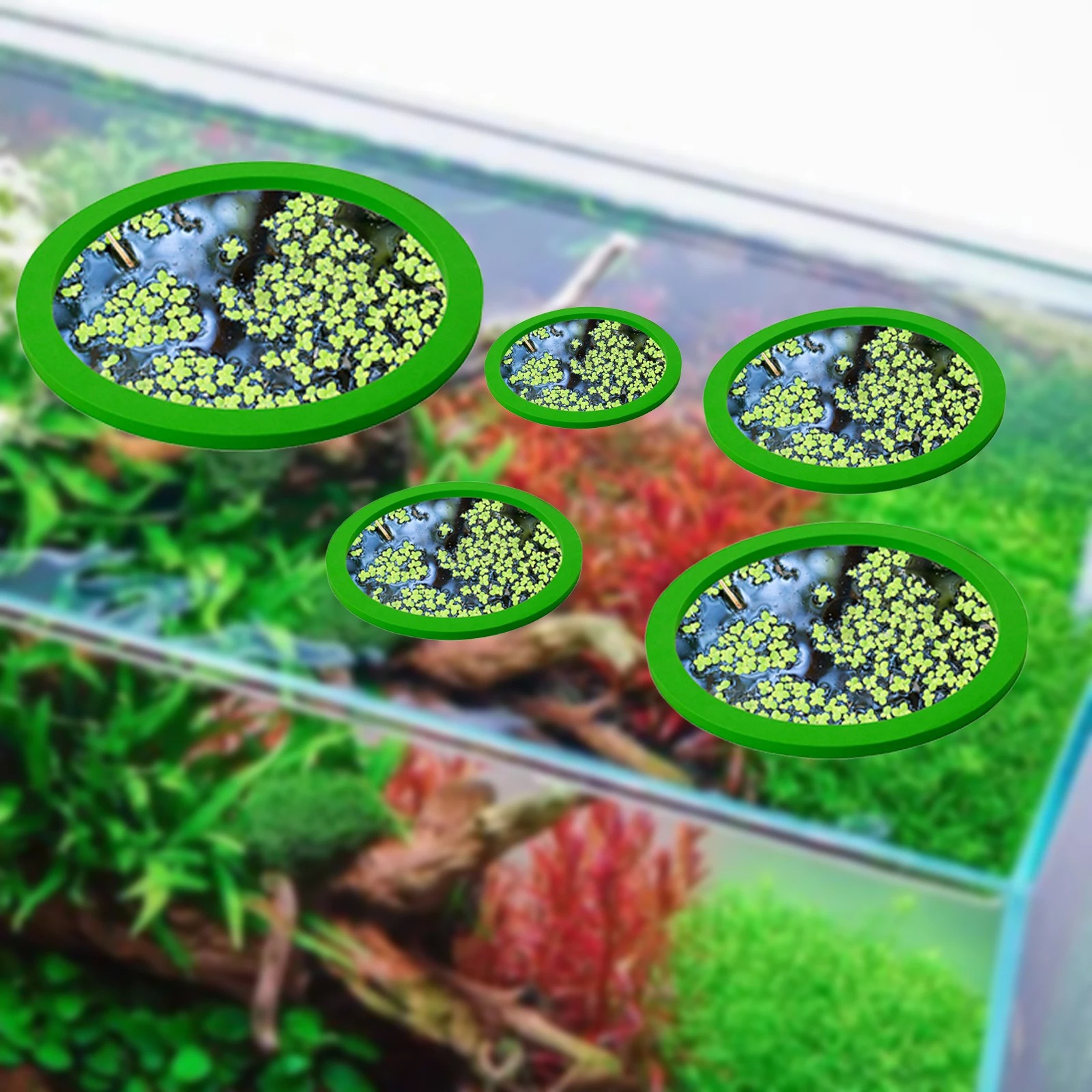 5Pcs EVA Fish Feeding Ring Aqu - Planted Aquarium Supplies 评论和价格