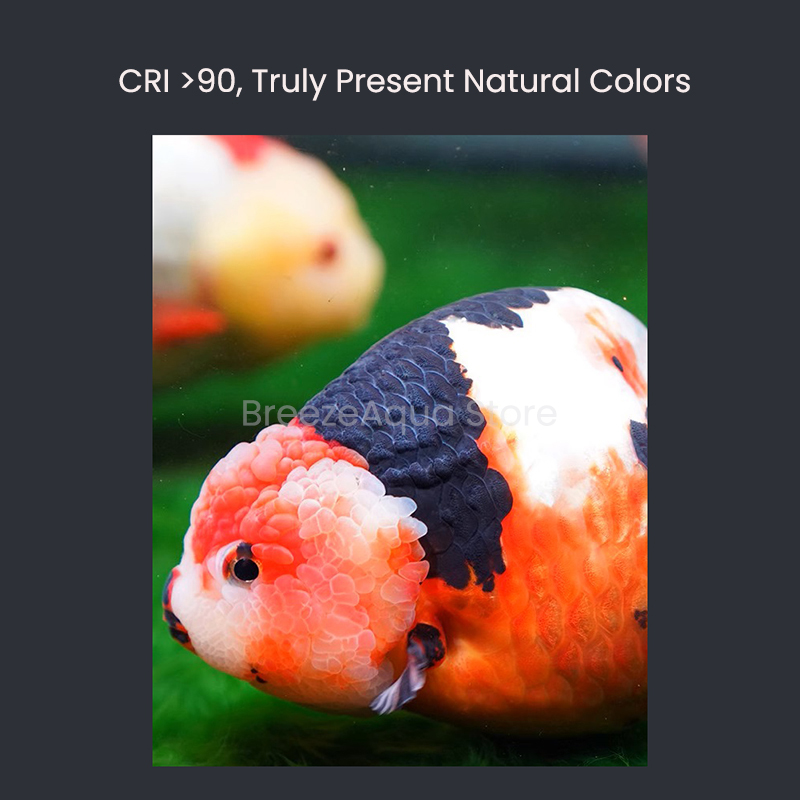 MAYIN Super Colour 100W Freshw - Planted Aquarium For Goldfish 评论和价格