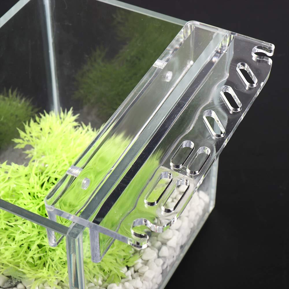Cleaning Tool Accessories Stor - Planted Aquarium Maintenance 评论和价格