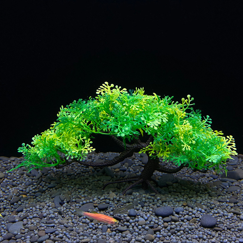 Aquarium bonsai tree, plant, f - Planted Aquarium For Goldfish 评论和价格