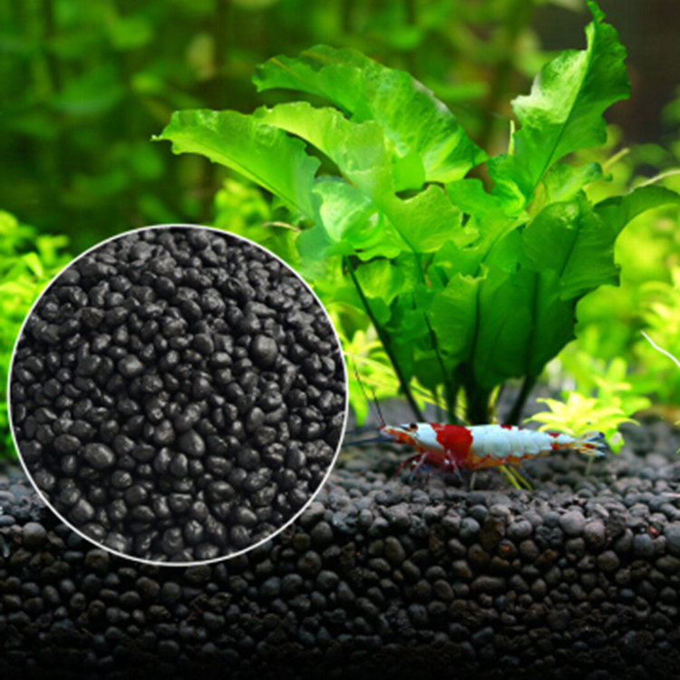 Aquarium Plant Seeds Soil Fish - Planted Aquarium Supplies 评论和价格