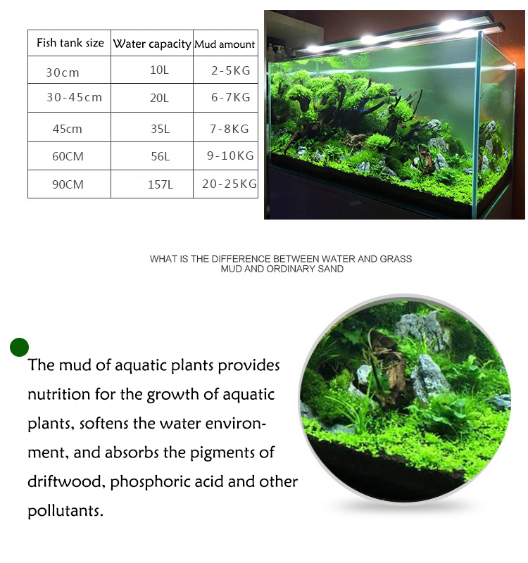 Aquarium Plant Seeds Soil Fish - Planted Aquarium Supplies 评论和价格