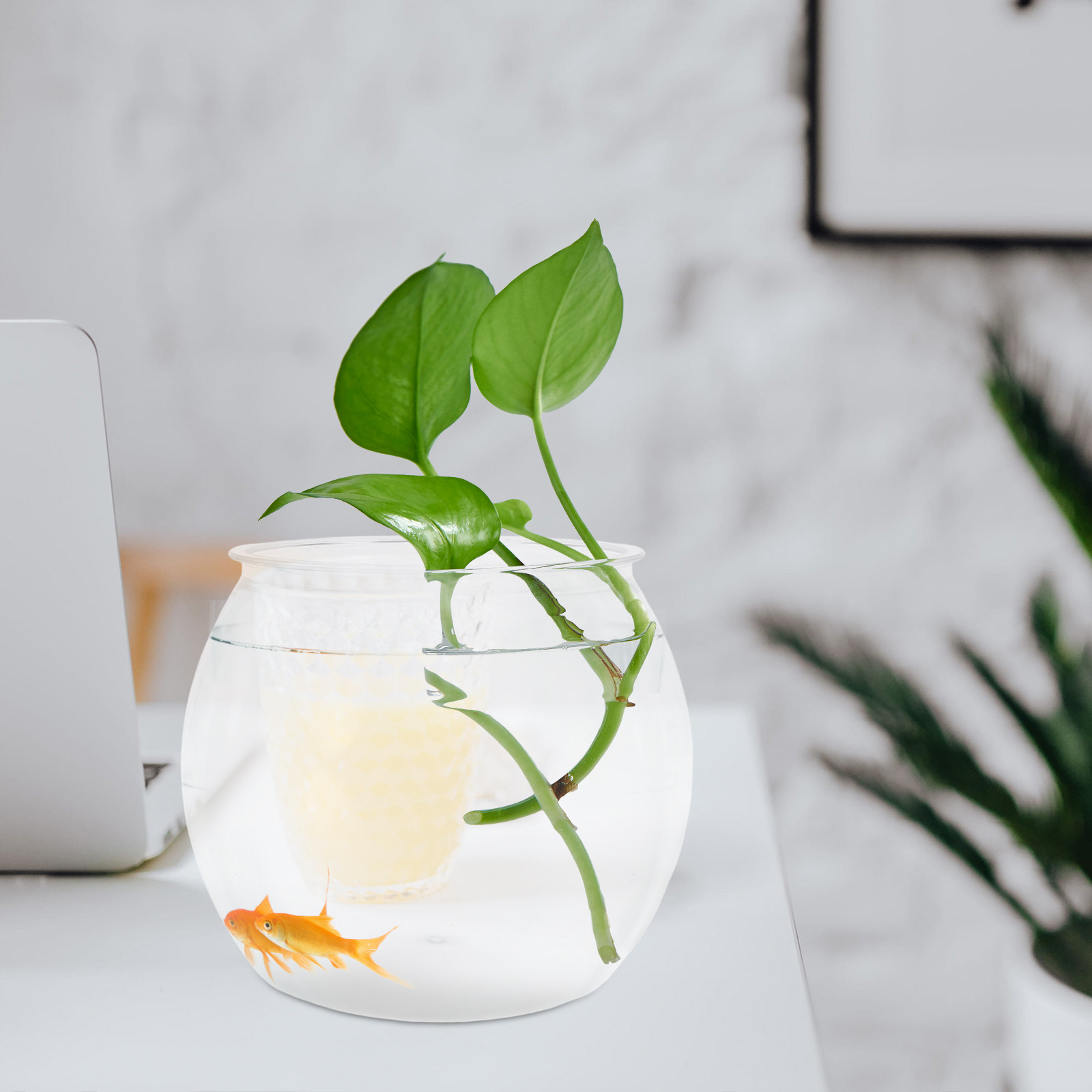 Round Shatterproof Fish Tank T - Planted Aquarium For Goldfish 评论和价格