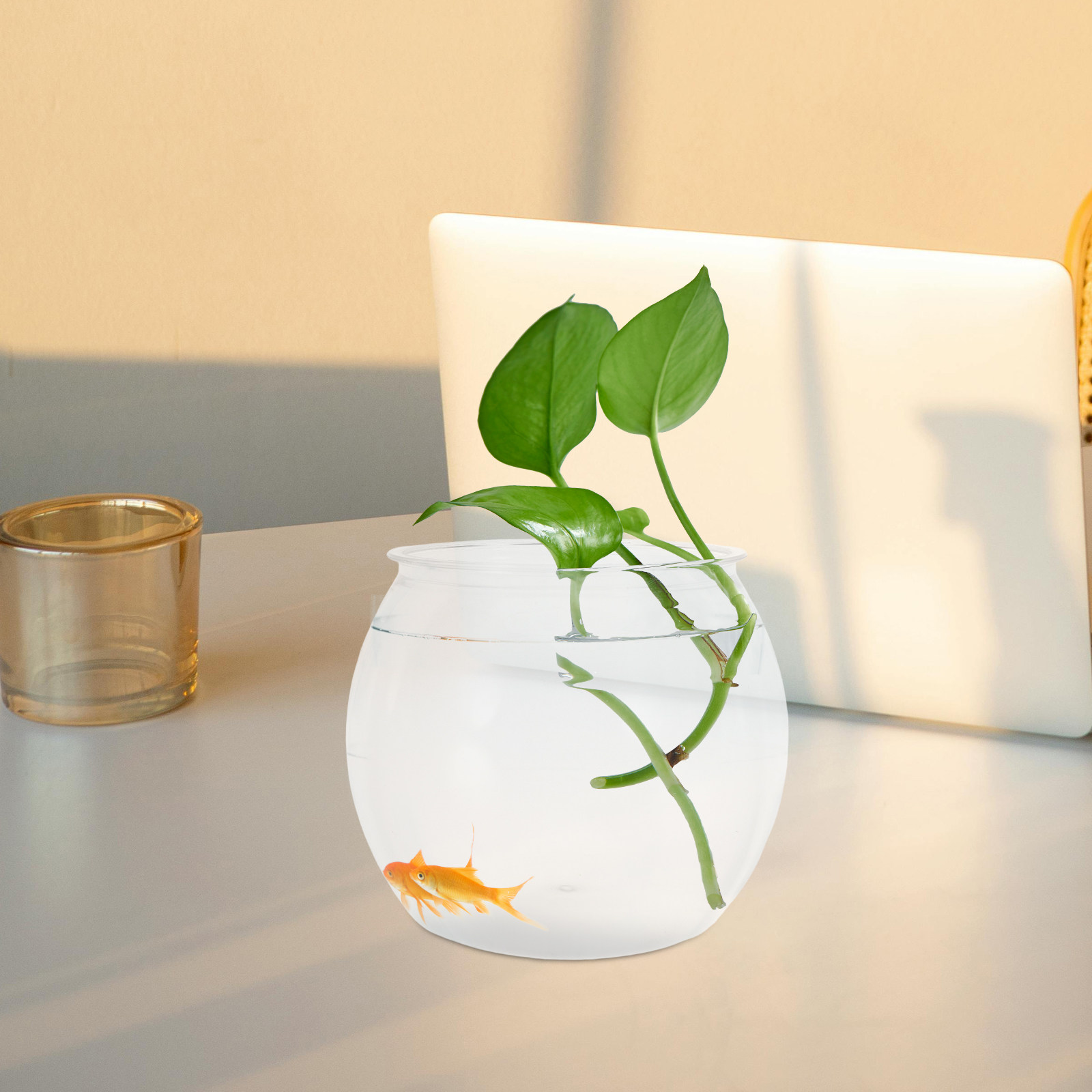 Round Shatterproof Fish Tank T - Planted Aquarium For Goldfish 评论和价格