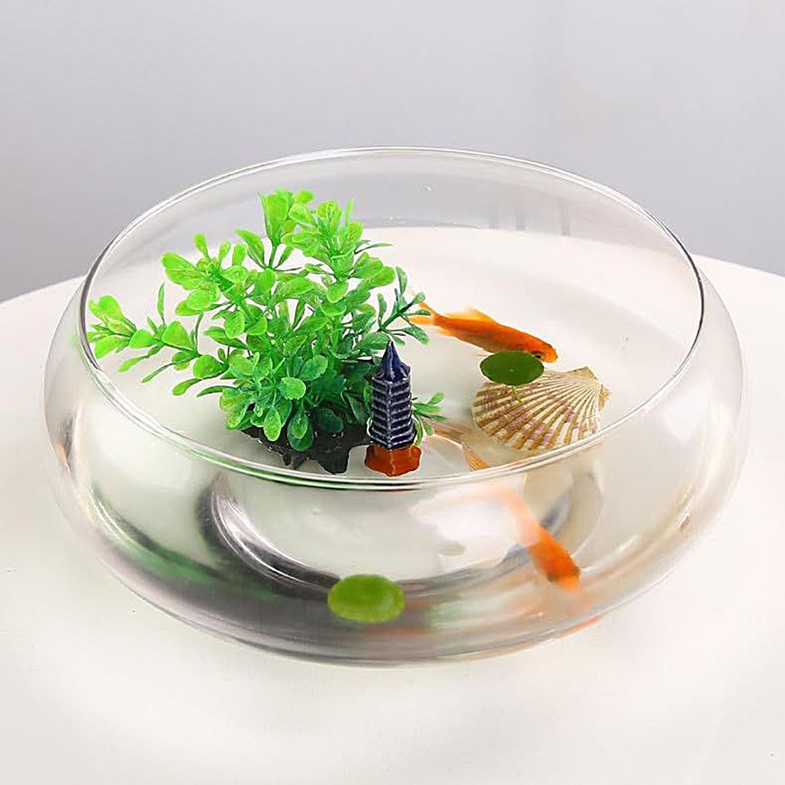 Fish Glass Bowl Glass Large Hy - Planted Aquarium For Goldfish 评论和价格