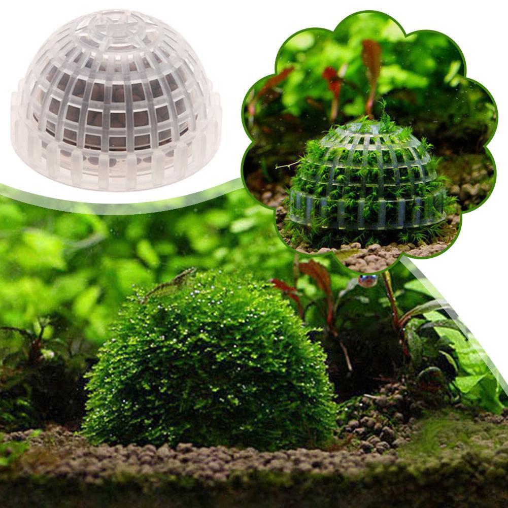 1pc Aquatic Pet Supplies Decor - Planted Aquarium Maintenance 评论和价格
