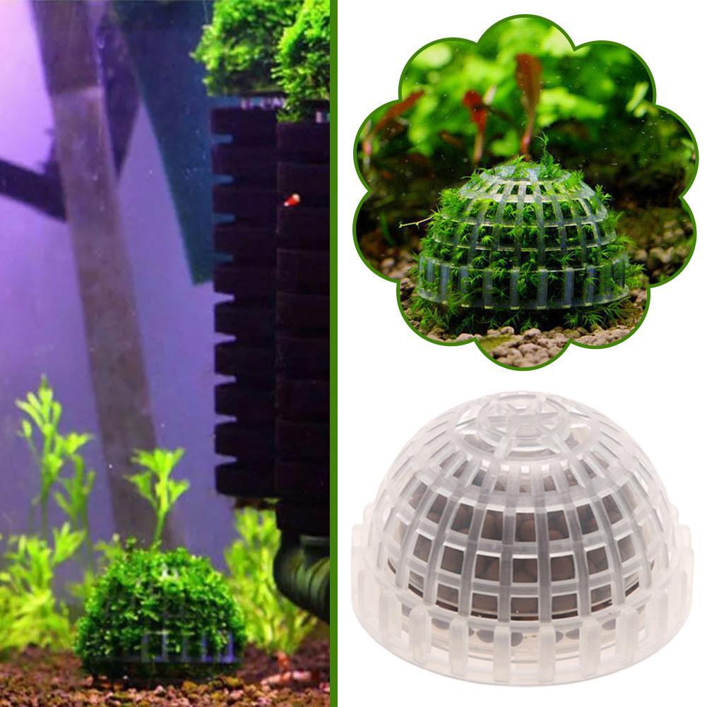 1pc Aquatic Pet Supplies Decor - Planted Aquarium Maintenance 评论和价格