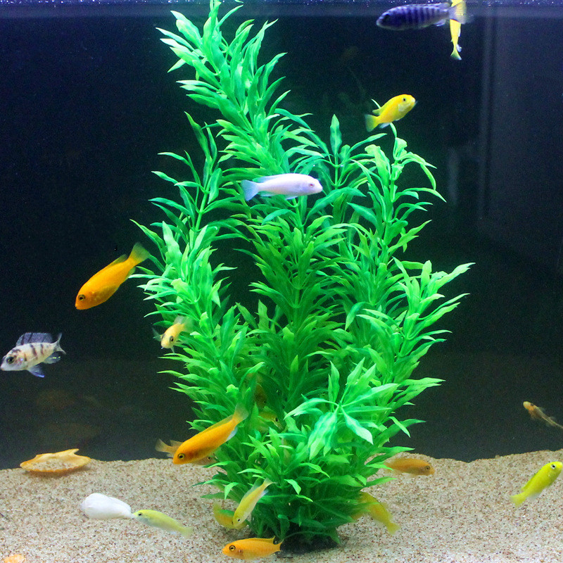 50CM Artificial Fish Tank Rare - Planted Aquarium Supplies 评论和价格