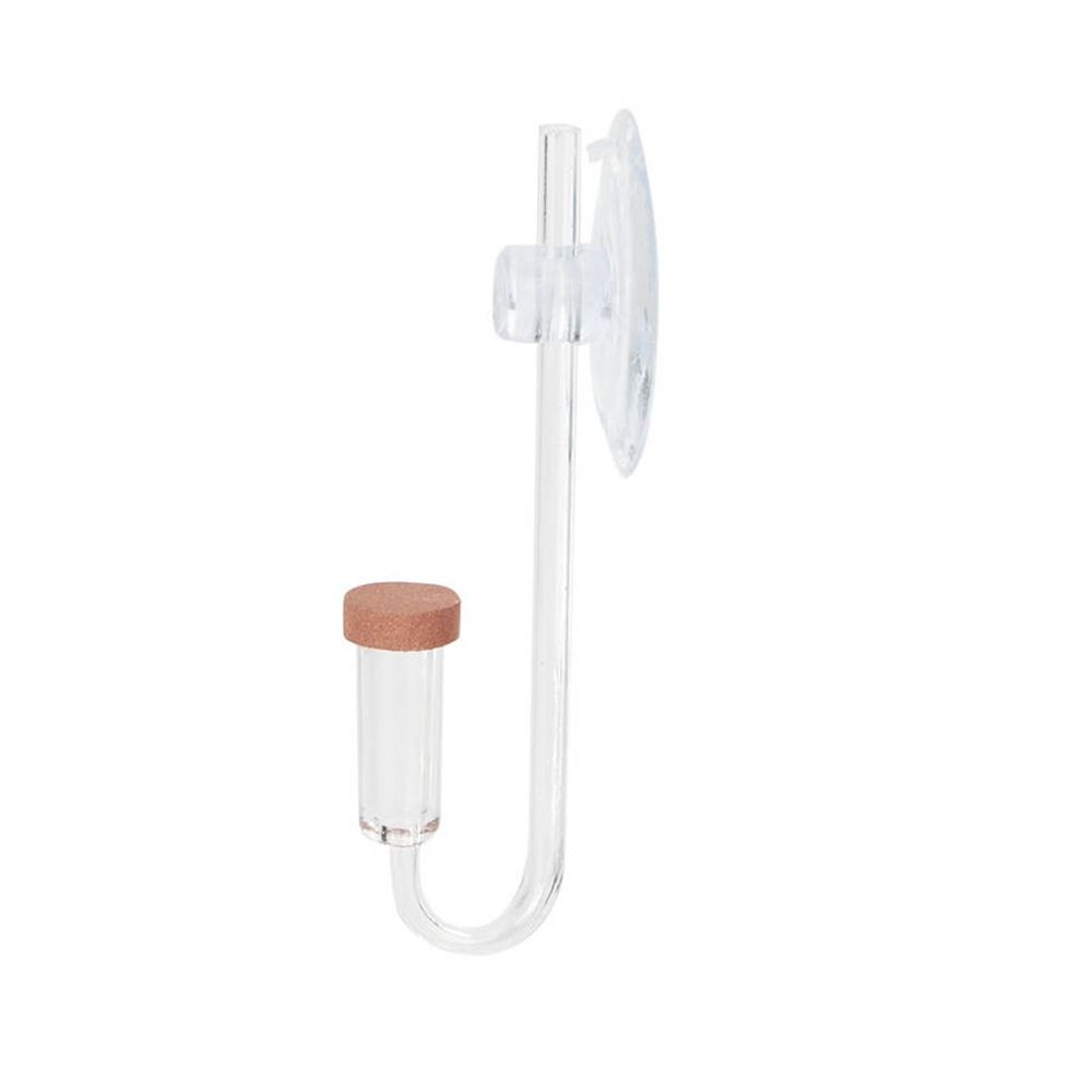 Acrylic Mini Fish Tank Live Pl - Planted Aquarium Supplies 评论和价格